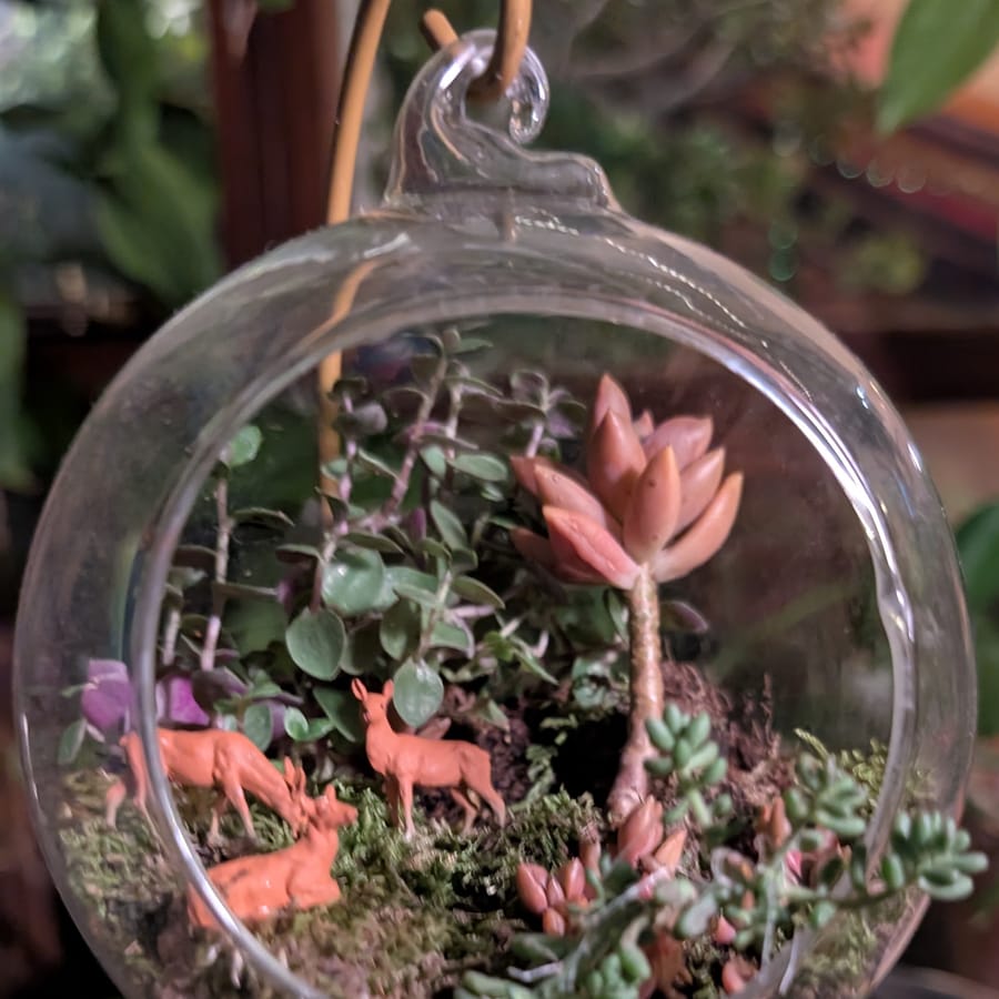 A hanging glass globe holding a mossy scene with four miniature deer beneath a tall pink succulent